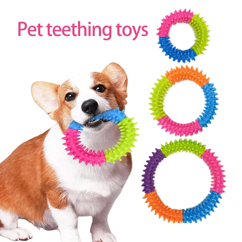 Anneau à mâcher en caoutchouc pour chien – jouet dentaire