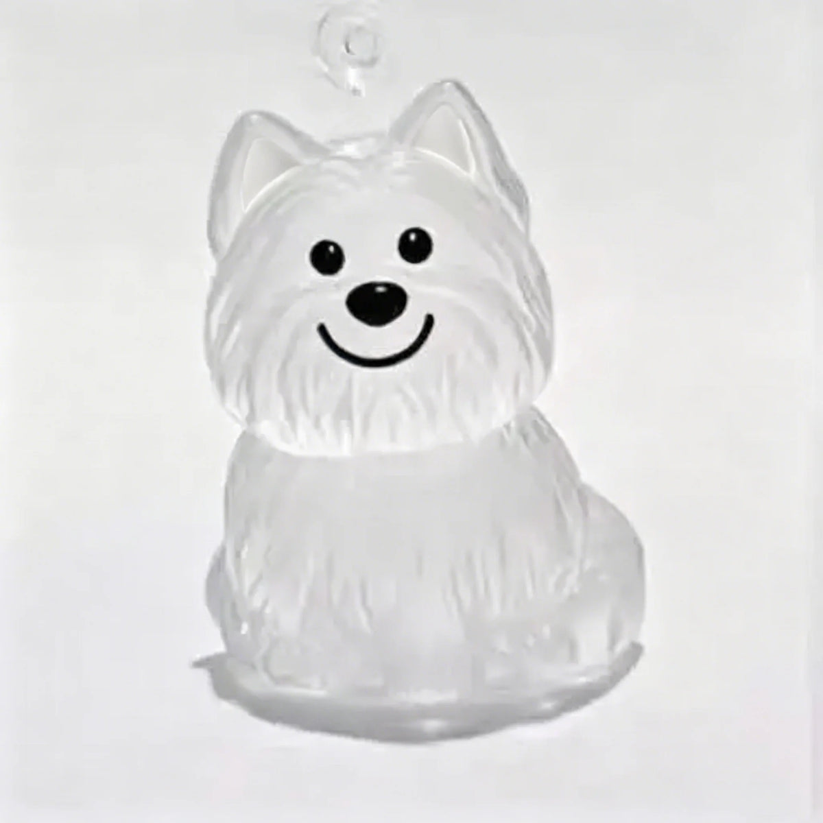 Capsule souvenir pour poils d’animaux avec porte-clés