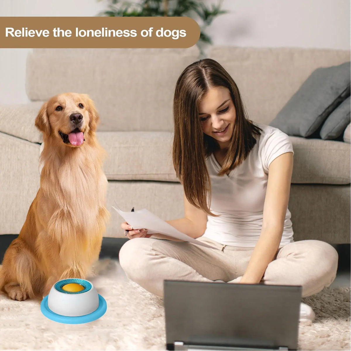 Gamelle anti-glouton pour chiens et chats – alimentation lente