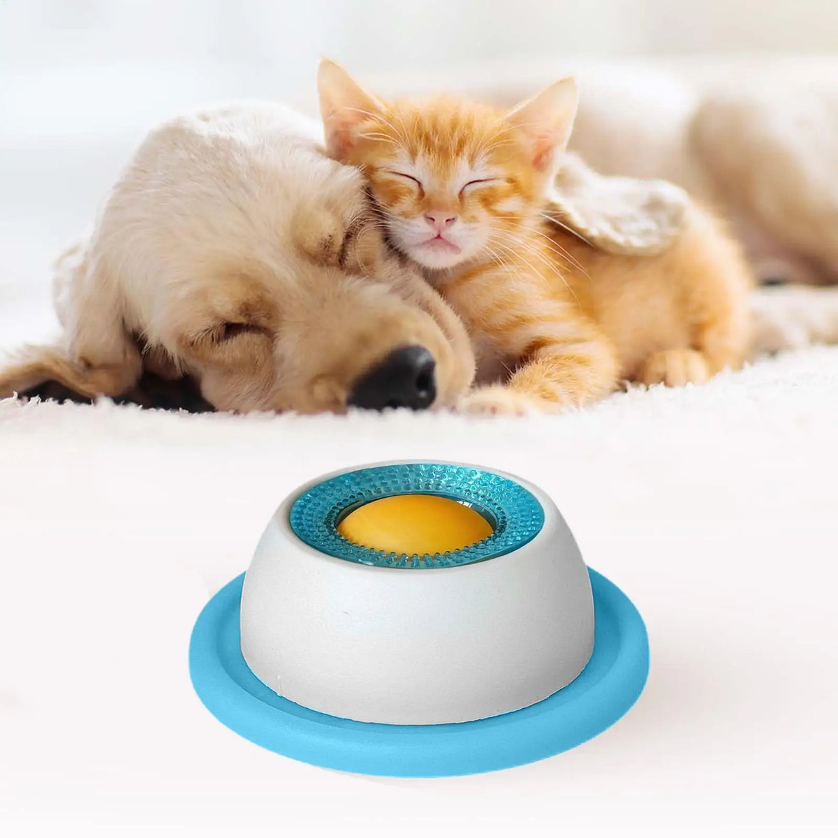 Gamelle anti-glouton pour chiens et chats – alimentation lente