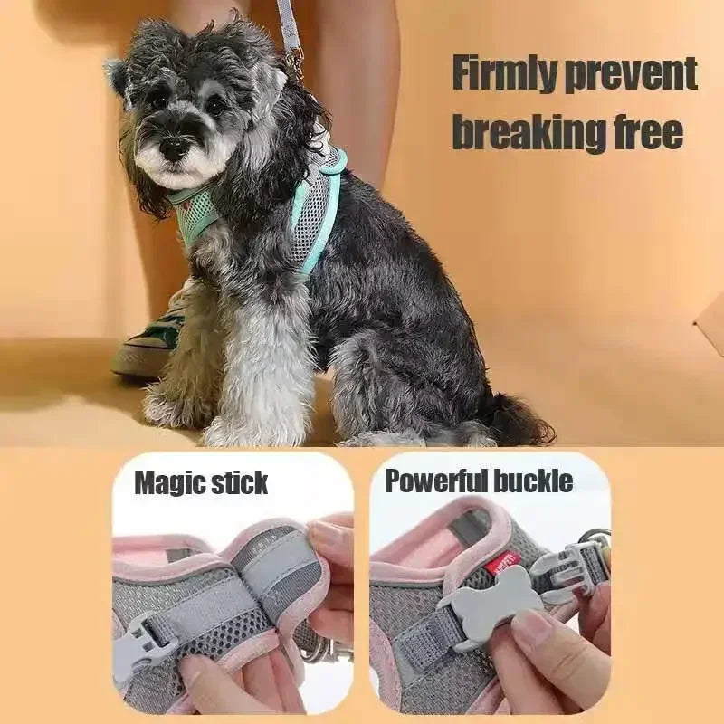 Harnais réfléchissant ajustable pour chien – confort et sécurité