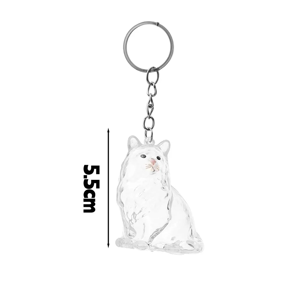 Capsule souvenir pour poils de chat avec porte-clés