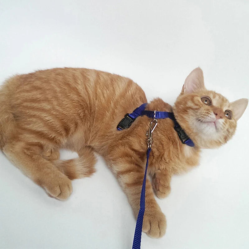 Adjustable Safety Cat Collar – breakaway clasp