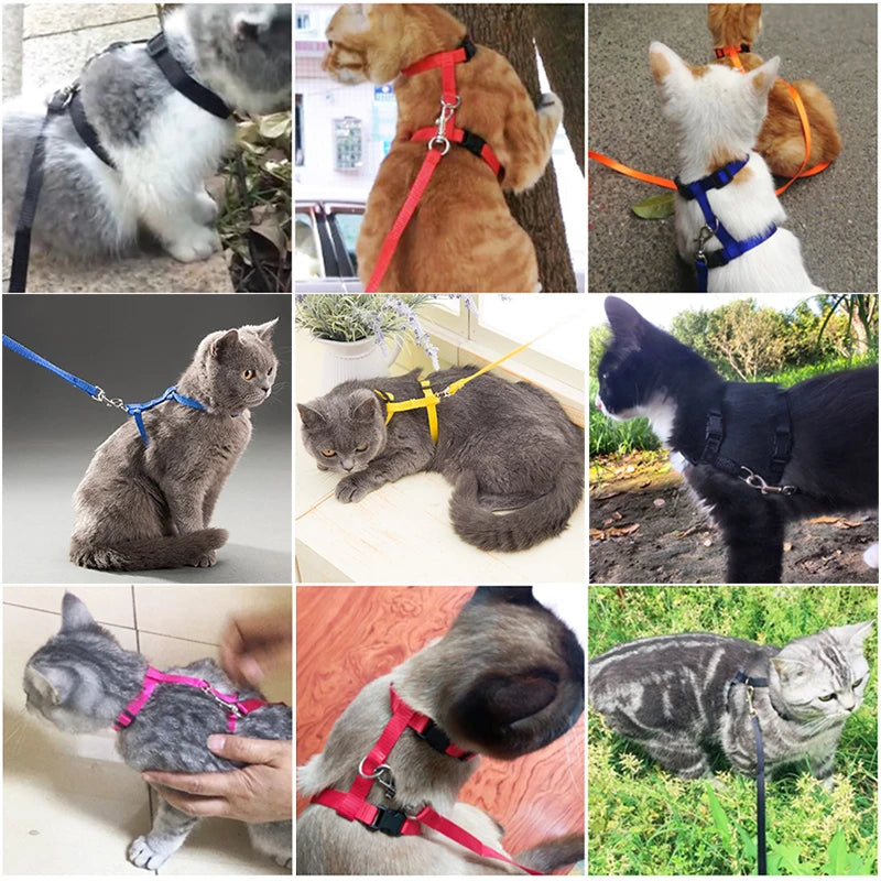 Adjustable Safety Cat Collar – breakaway clasp